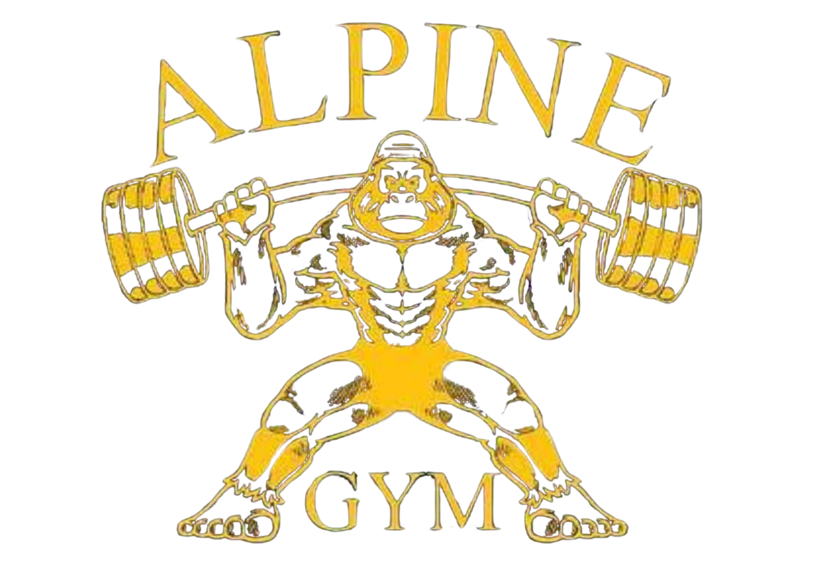 ALPINE GYMNASIUM